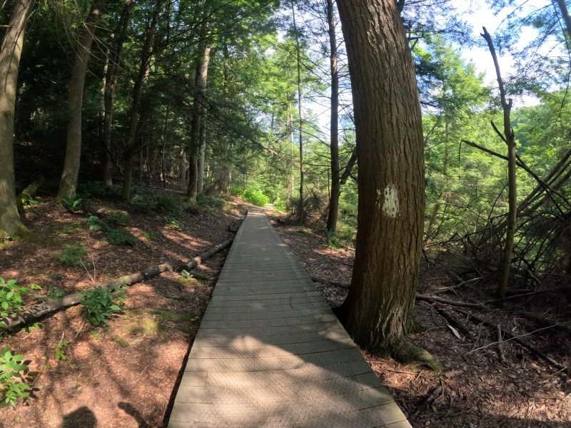 Lyons Falls Trail, Mohican State Park, 