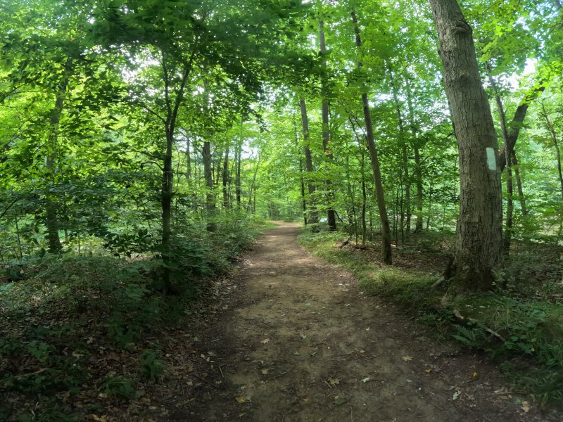 The return trail paralleling the river to the right.