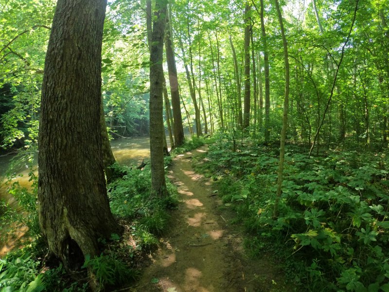 Clearfork Gorge at Mohican State Park: Trail. Here, it parallels the Clear Fork Branch of the Mohican