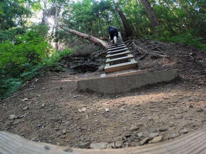 Climbing the ladder. Clearfork Gorge at Mohican State Park: Trail. Hikers will pass The Swinging Bridge