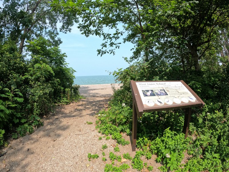 The Estuary Trail at Magee Marsh, Ottawa Ohio.