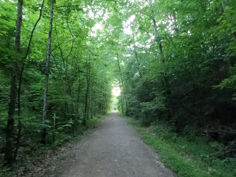 Along the Moonville Rail Trail near the wreck of the ghost train.