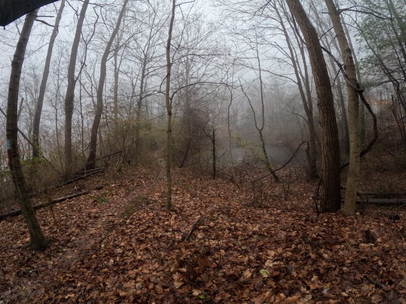 The pond beyond the arches while the fog creeps up. 