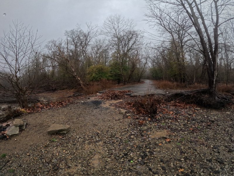 The view of the old road looking back on the trail.