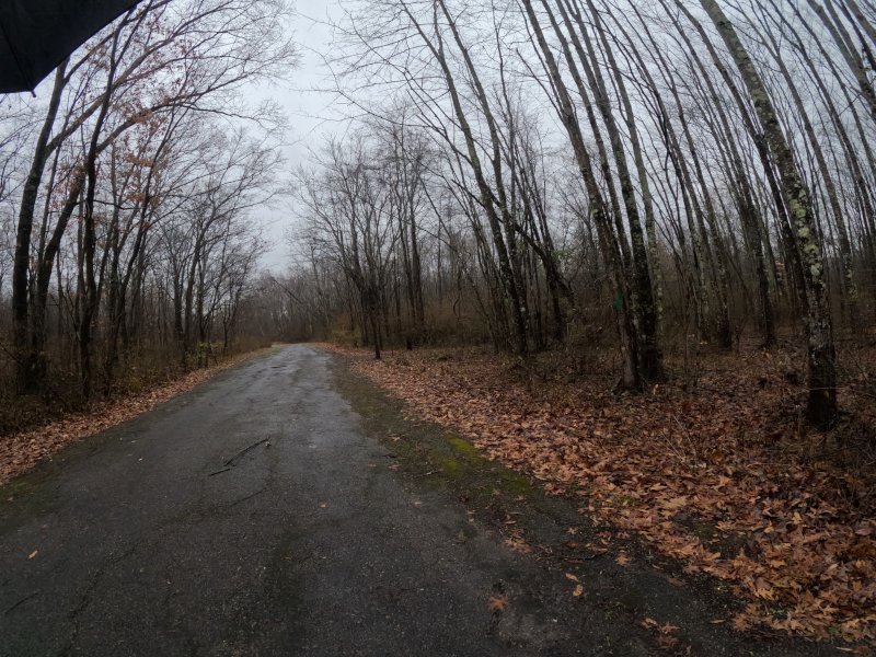 The old road on a foggy day. 