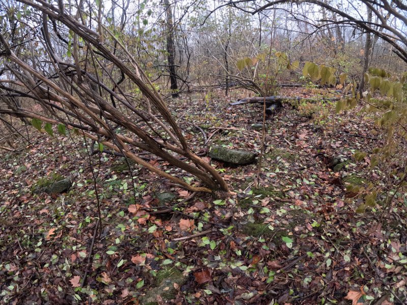 Ruins of old Pinkham Home and buildings.