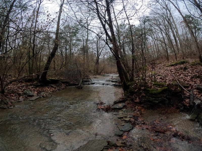 Cabin Creek at East Fork State Park