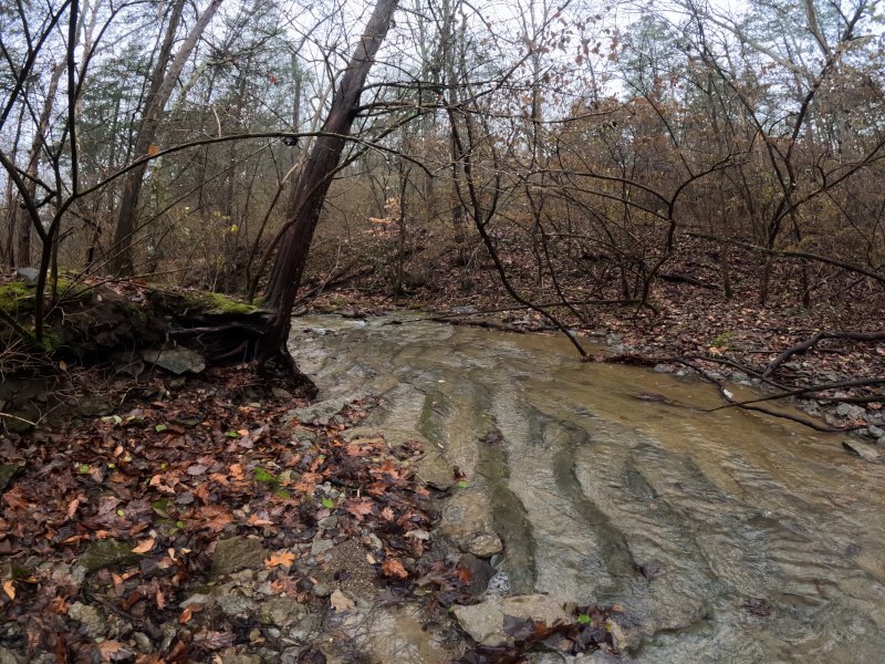 Cabin Creek at East Fork State Park