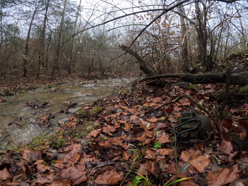 Pieces of the areas past still lie there, ghostly remnants of owners long-gone. Cabin Creek at East Fork State Park