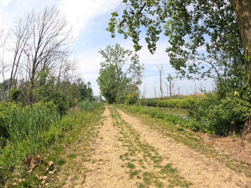 Birding paradise! Beach Walk with View of Lake Erie Shores and Islands: Maumee Bay State Park Hidden Treasure Beach