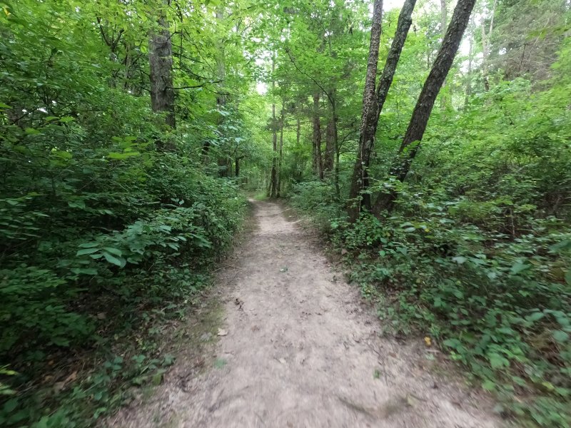 Along the trail to Caesar Caesar Creek State Park Pioneer Village 