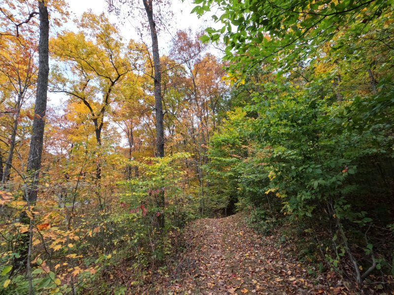 Along Lake Hope. Peninsula Trail, Lake Hope State Park near Hope Furnace