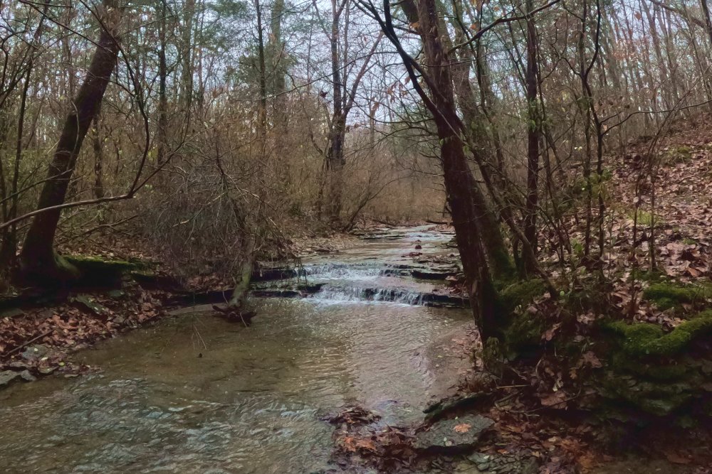 Ohio State Park: East Fork State Park