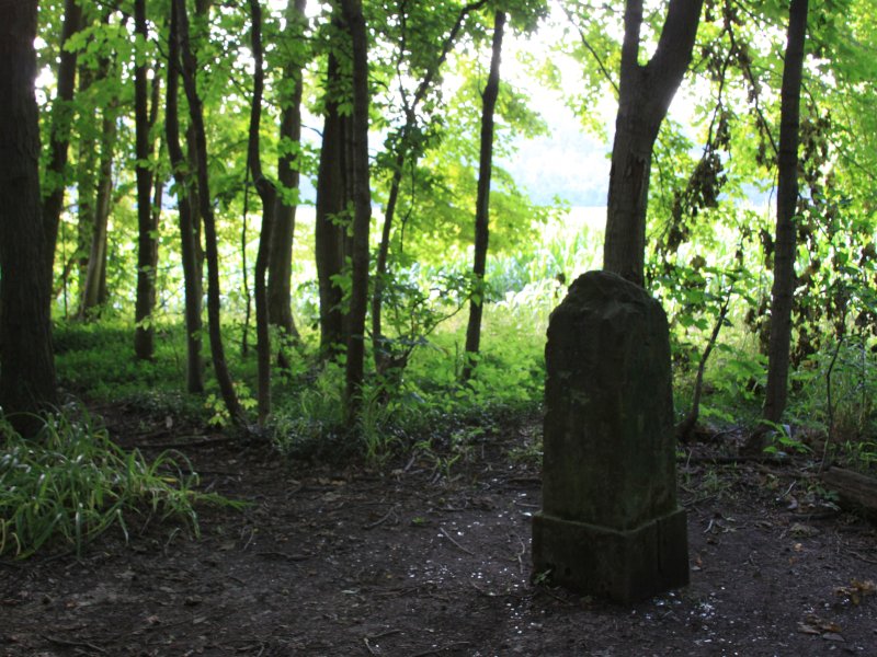 Legend of Gore Orphanage: The remains of the Swift Mansion, part of the Light and Hope Children's Rescue. 