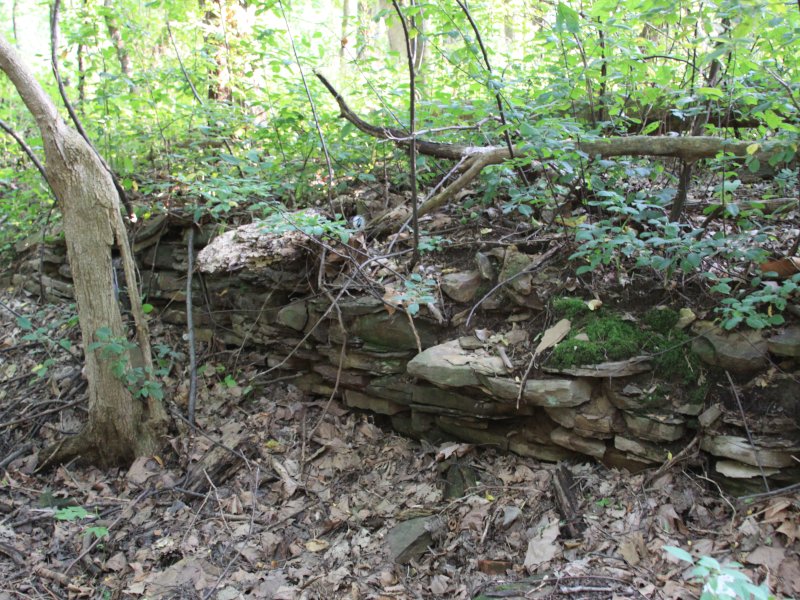 Legend of Gore Orphanage: The remains of the Swift Mansion, part of the Light and Hope Children's Rescue. 