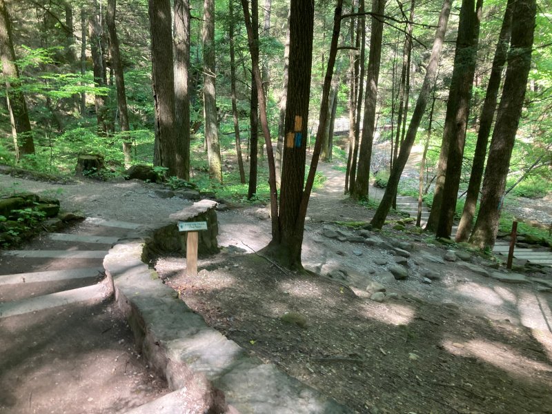 Cedar Falls Trail, Hocking Hills State Park