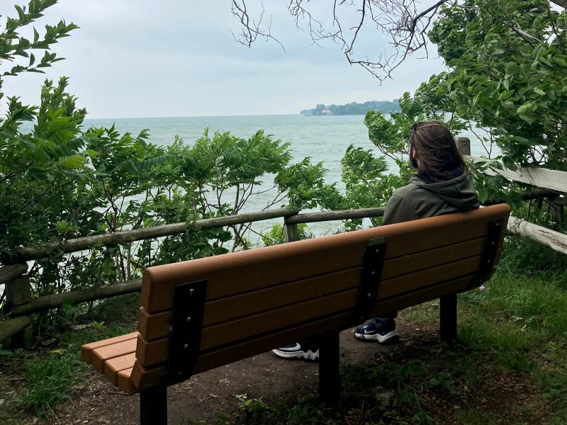 Watching for the Gray Ghost. South Bass Island
Massie Cliffside Trails
