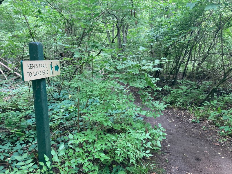 South Bass Island
Massie Cliffside Trails
