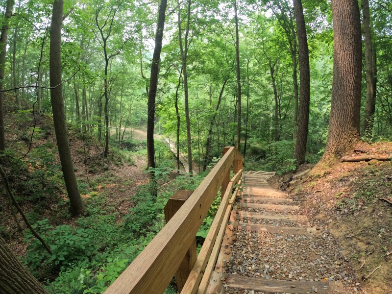 Blue Hen Falls hiking trail.