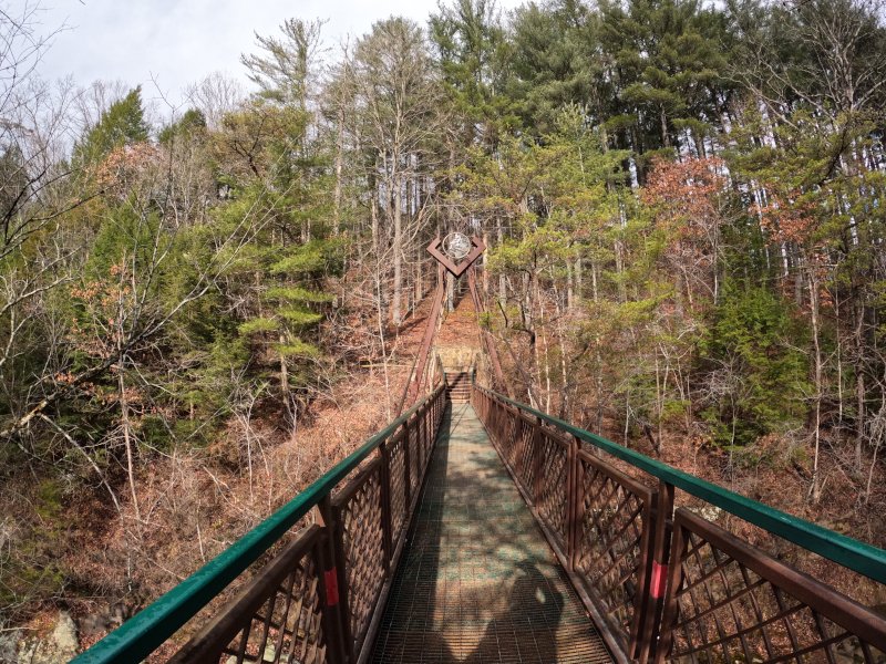 Cedar Falls: HIkers pass this before turning into the parking lot. This is near the long-gone beech tree.