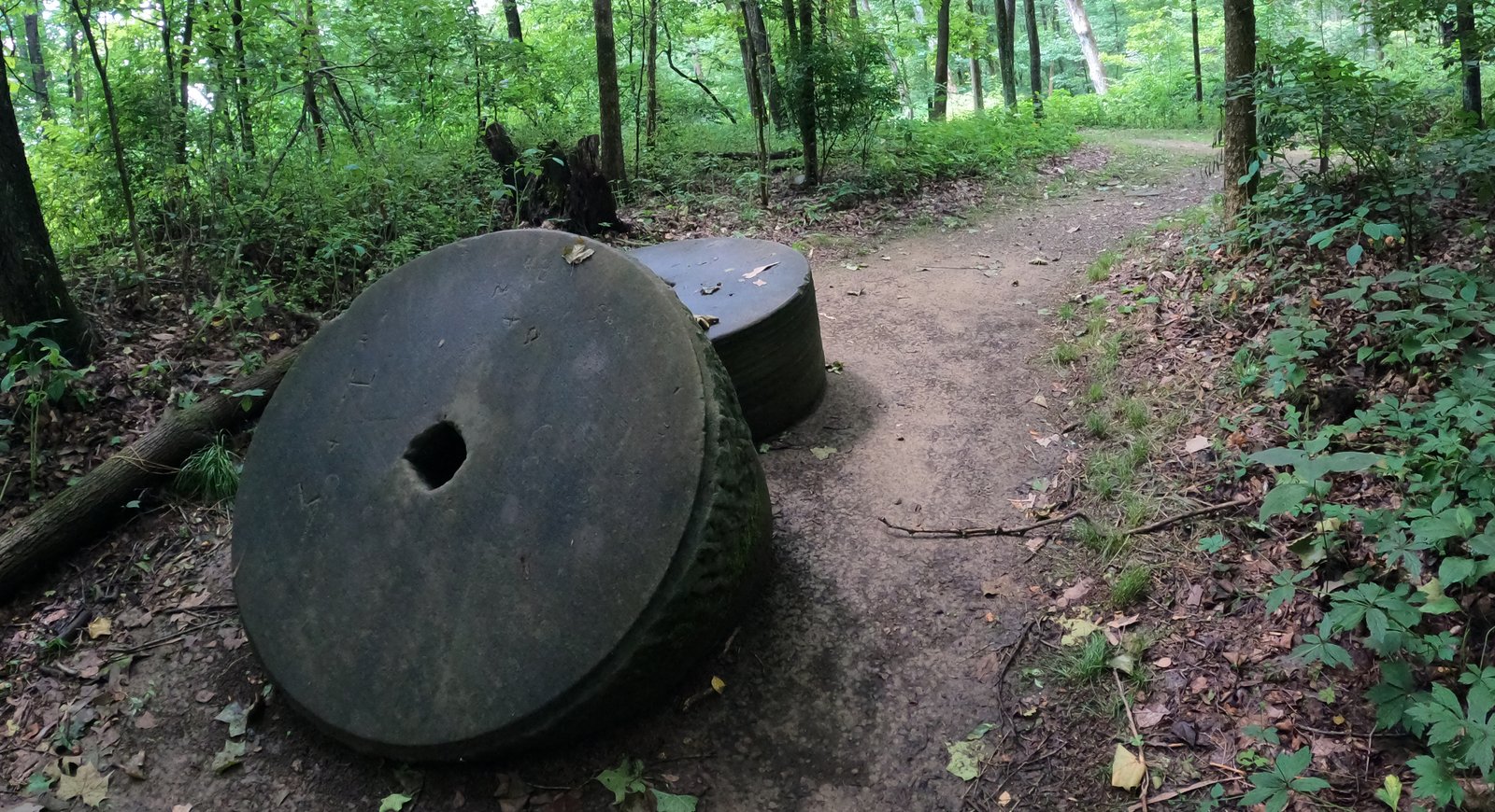 Treasures along Deep Lock Quarry Trails.